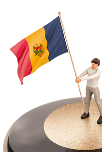 Flag person