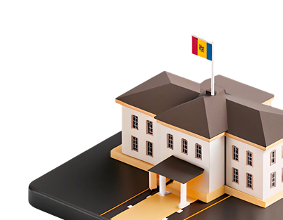 Flag school